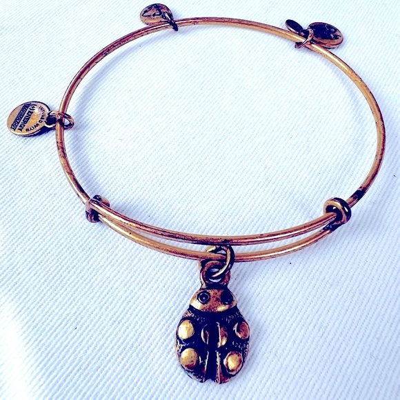 Alex and Ani Ladybug Charm Bracelet Rafaelian Gold Finish - Expands 2"- … - Picture 1 of 11
